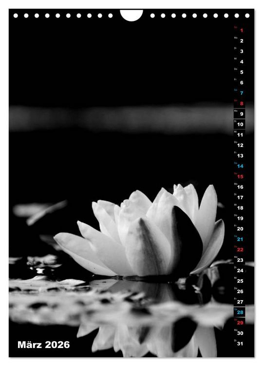 Produktbild: Blumige Graustufen - Schwarz und Wei&szlig; (Wandkalender 2026 DIN A4 hoch), CALVENDO Monatskalender