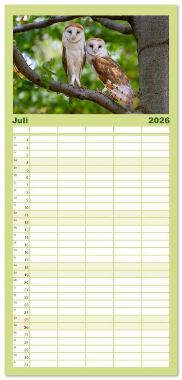 Produktbild: Familienplaner 2026 - Eulen - Fl&uuml;gel der Nacht mit 5 Spalten (Wandkalender, 21 x 45 cm) CALVENDO