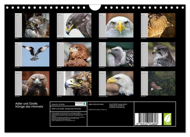 Produktbild: Adler und Greife. K&ouml;nige des Himmels (Wandkalender 2026 DIN A4 quer), CALVENDO Monatskalender