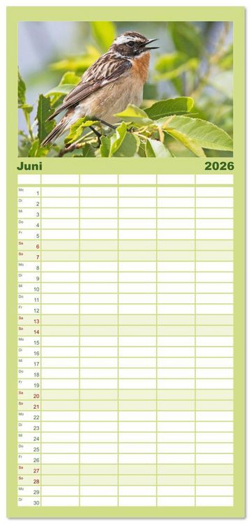 Produktbild: Familienplaner 2026 - V&ouml;gel in unserer Heimat: Kiebitz, Wiedehopf und Turteltaube mit 5 Spalten (Wandkalender, 21 x 45 cm) CALVENDO