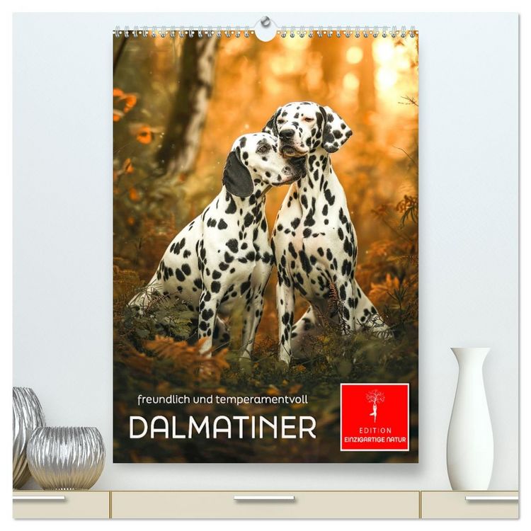 Produktbild: Dalmatiner - freundlich und temperamentvoll (hochwertiger Premium Wandkalender 2026 DIN A2 hoch), Kunstdruck in Hochglanz