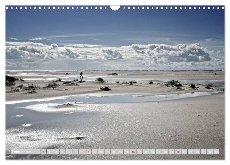 Produktbild: Amrum, die Perle in der Nordsee (Wandkalender 2026 DIN A3 quer), CALVENDO Monatskalender