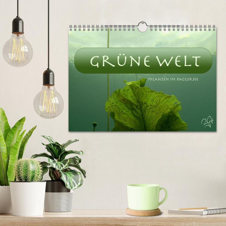 Produktbild: Baggersee - die gr&uuml;ne Welt (Wandkalender 2026 DIN A4 quer), CALVENDO Monatskalender
