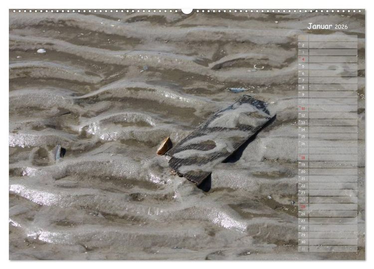 Produktbild: Strandspaziergang / Geburtstagskalender (hochwertiger Premium Wandkalender 2026 DIN A2 quer), Kunstdruck in Hochglanz