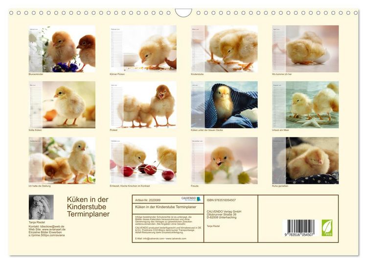Produktbild: K&uuml;ken in der Kinderstube Terminplaner (Wandkalender 2026 DIN A3 quer), CALVENDO Monatskalender
