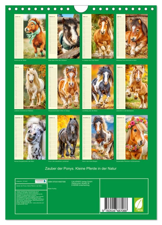 Produktbild: Zauber der Ponys. Kleine Pferde in der Natur (Wandkalender 2026 DIN A4 hoch), CALVENDO Monatskalender