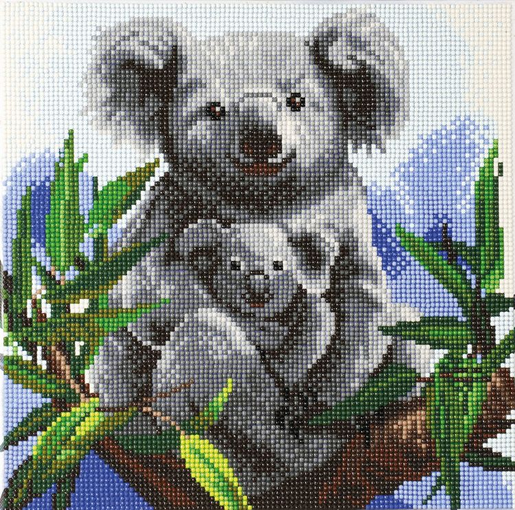 Produktbild: Crystal Art Leinwandbild Koalas 30x30 cm