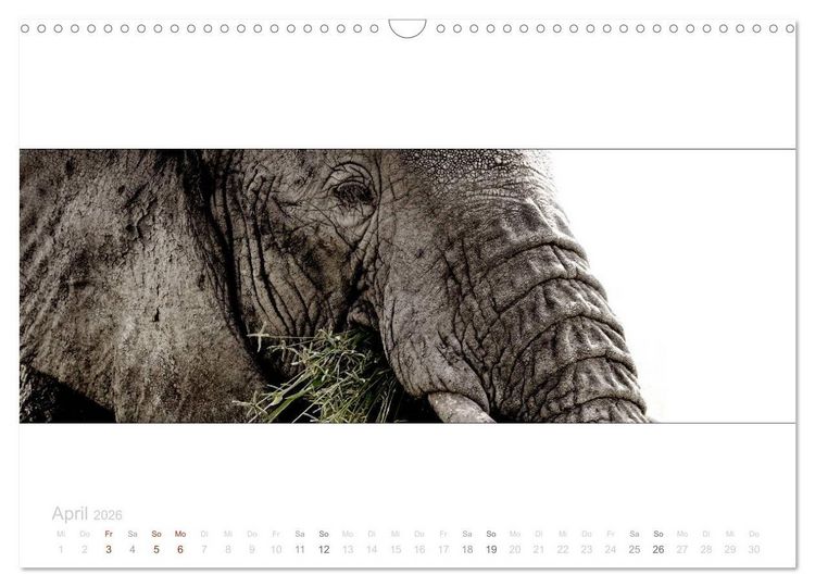 Produktbild: Serengeti Panorama (Wandkalender 2026 DIN A3 quer), CALVENDO Monatskalender