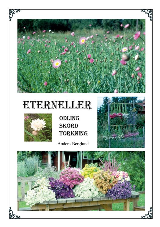 Produktbild: Eterneller