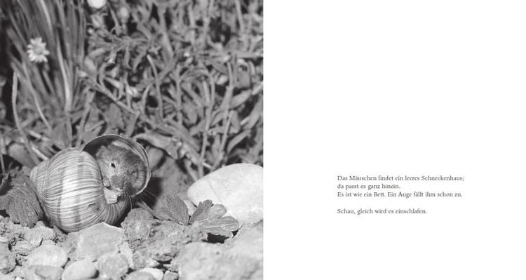 Produktbild: Das Apfelm&auml;uschen (Pappbilderbuch)