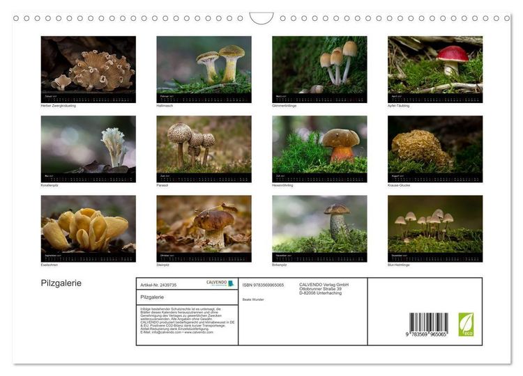 Produktbild: Pilzgalerie (Wandkalender 2027 DIN A3 quer), CALVENDO Monatskalender