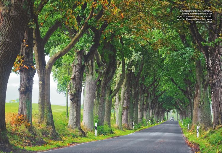 Produktbild: ADAC Roadtrips Mecklenburg-Vorpommern mit Ostseek&uuml;ste