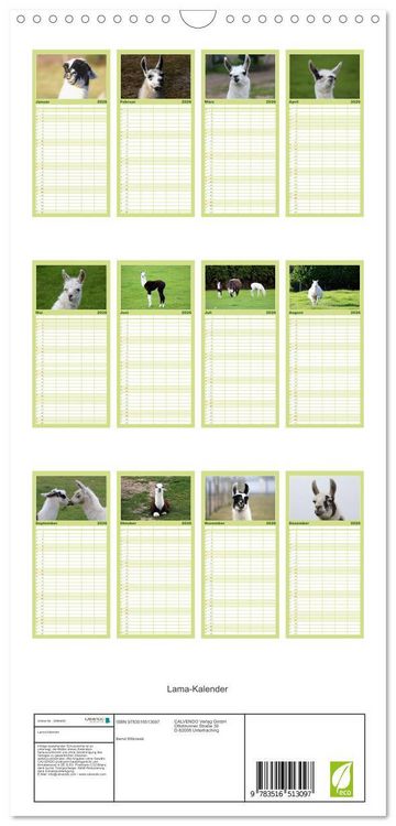 Produktbild: Familienplaner 2026 - Lama-Kalender mit 5 Spalten (Wandkalender, 21 x 45 cm) CALVENDO