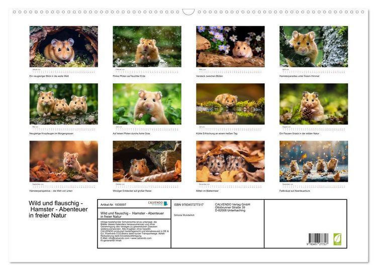 Produktbild: Wild und flauschig - Hamster - Abenteuer in freier Natur (Wandkalender 2026 DIN A2 quer), CALVENDO Monatskalender