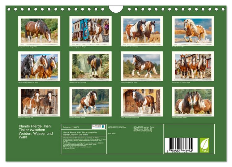 Produktbild: Irlands Pferde. Irish Tinker zwischen Weiden, Wasser und Wald (Wandkalender 2027 DIN A4 quer), CALVENDO Monatskalender