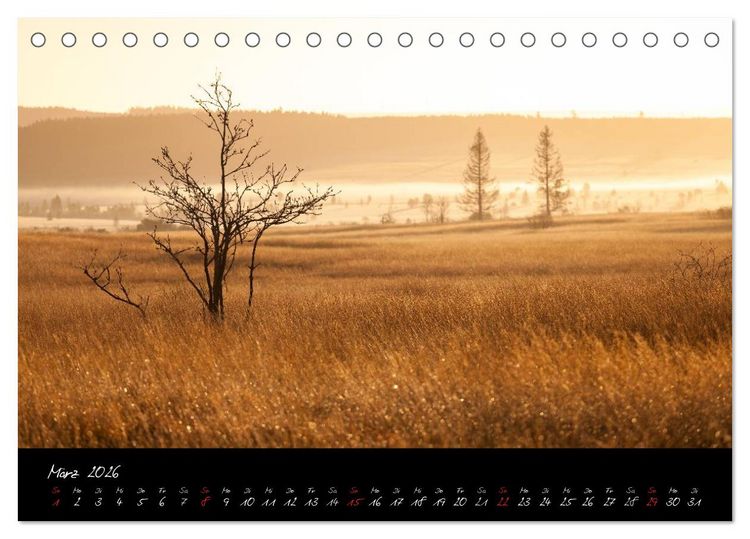 Produktbild: Hochmoor Hohes Venn (Tischkalender 2026 DIN A5 quer), CALVENDO Monatskalender