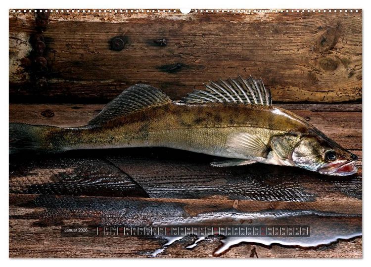 Produktbild: UNSER FISCH. S&Uuml;&szlig;WASSER. (Wandkalender 2026 DIN A2 quer), CALVENDO Monatskalender