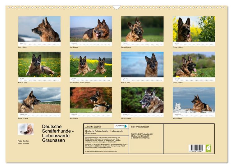 Produktbild: Deutsche Sch&auml;ferhunde - Liebenswerte Graunasen (Wandkalender 2026 DIN A2 quer), CALVENDO Monatskalender