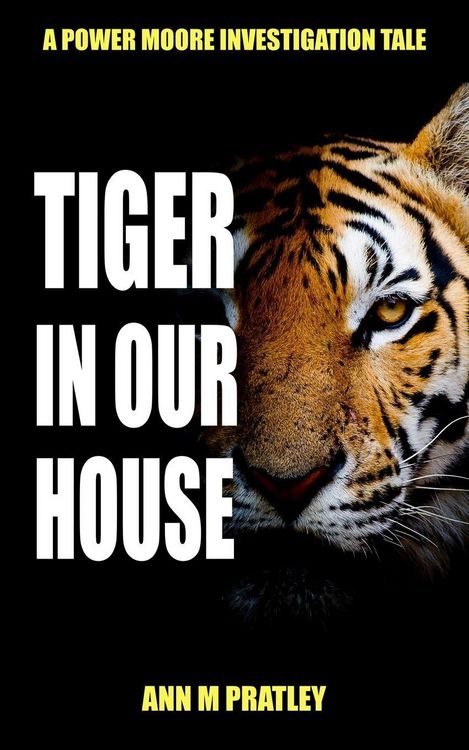 Produktbild: Tiger in Our House