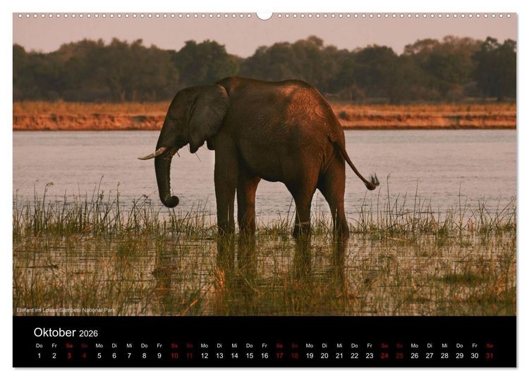 Produktbild: SAMBIA IM HERZEN AFRIKAS (hochwertiger Premium Wandkalender 2026 DIN A2 quer), Kunstdruck in Hochglanz