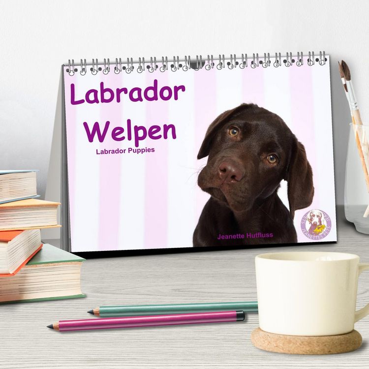 Produktbild: Labrador Welpen - Labrador Puppies (Tischkalender 2026 DIN A5 quer), CALVENDO Monatskalender