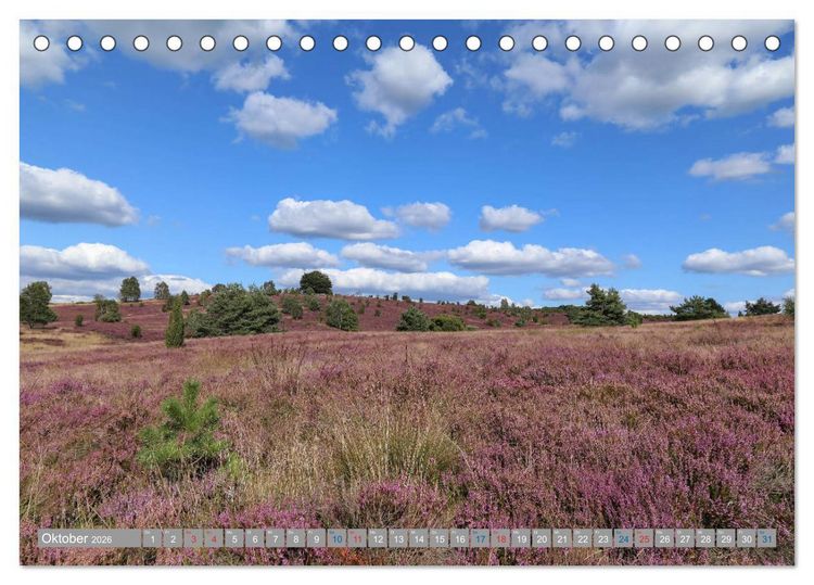 Produktbild: L&uuml;neburger Heide - Faszinierend sch&ouml;n (Tischkalender 2026 DIN A5 quer), CALVENDO Monatskalender