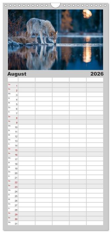 Produktbild: Familienplaner 2026 - W&ouml;lfe im Mondlicht - Ruf der Wildnis mit 5 Spalten (Wandkalender, 21 x 45 cm) CALVENDO