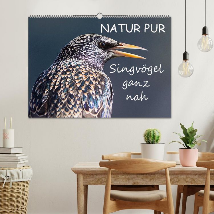 Produktbild: NATUR PUR - Singv&ouml;gel ganz nah (Wandkalender 2026 DIN A2 quer), CALVENDO Monatskalender