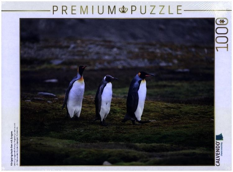 Produktbild: CALVENDO Puzzle K&ouml;nigspinguinp&auml;rchen mit Jungem | 1000 Teile Lege-Gr&ouml;&szlig;e 64x48cm Foto-Puzzle f&uuml;r gl&uuml;ckliche Stunden
