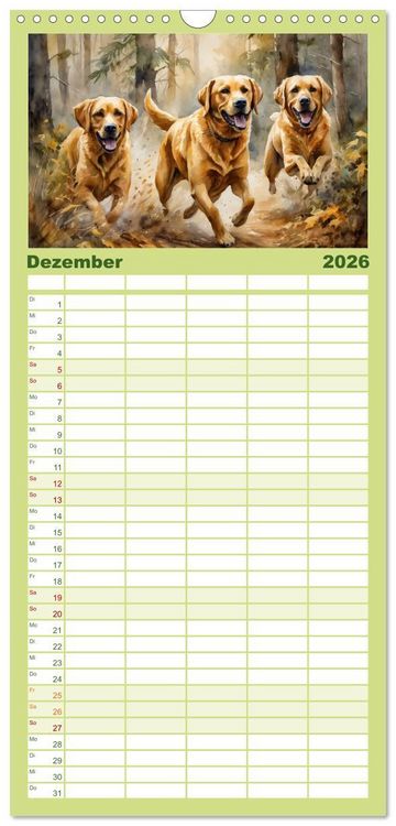 Produktbild: Familienplaner 2026 - Voller Kraft und Energie - Labrador-Retriever mit 5 Spalten (Wandkalender, 21 x 45 cm) CALVENDO