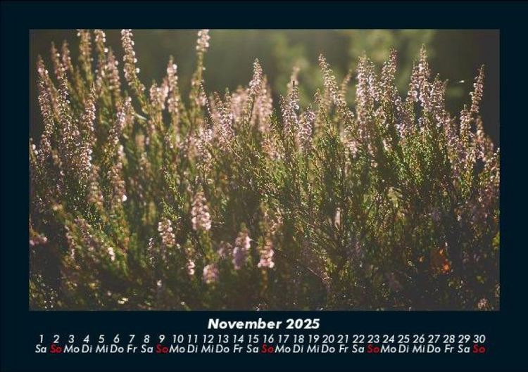 Produktbild: Pflanzen und Bl&uuml;ten 2025 Fotokalender DIN A5