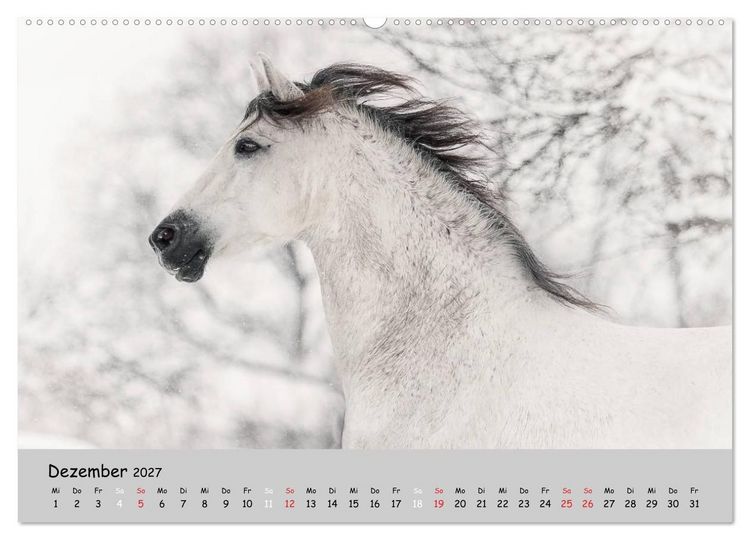 Produktbild: Pferde - Anmut und St&auml;rke gepaart mit Magie (hochwertiger Premium Wandkalender 2027 DIN A2 quer), Kunstdruck in Hochglanz