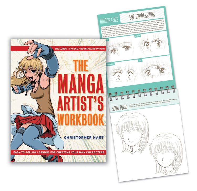 Produktbild: The Manga Artist's Workbook