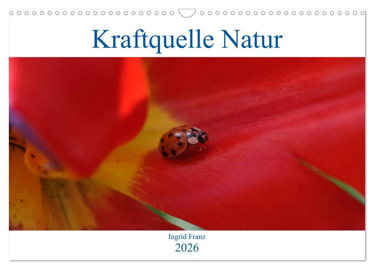 Produktbild: Kraftquelle Natur (Wandkalender 2026 DIN A3 quer), CALVENDO Monatskalender