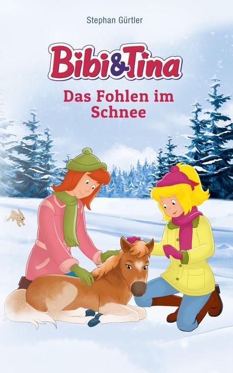 Produktbild: Bibi & Tina - Das Fohlen im Schnee