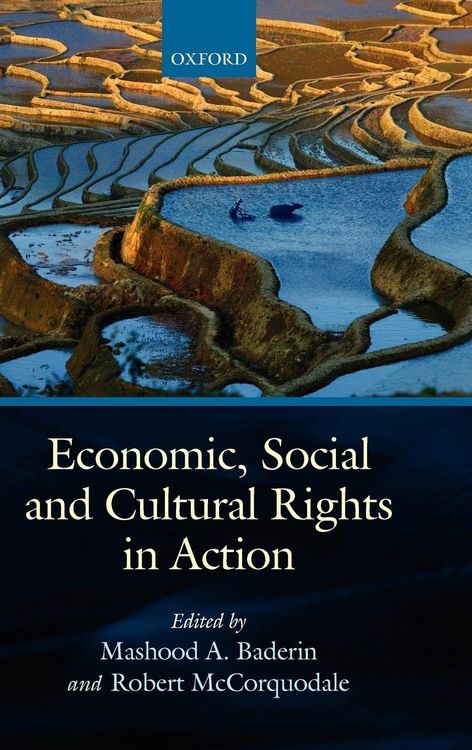 Produktbild: Economic, Social and Cultural Rights in Action