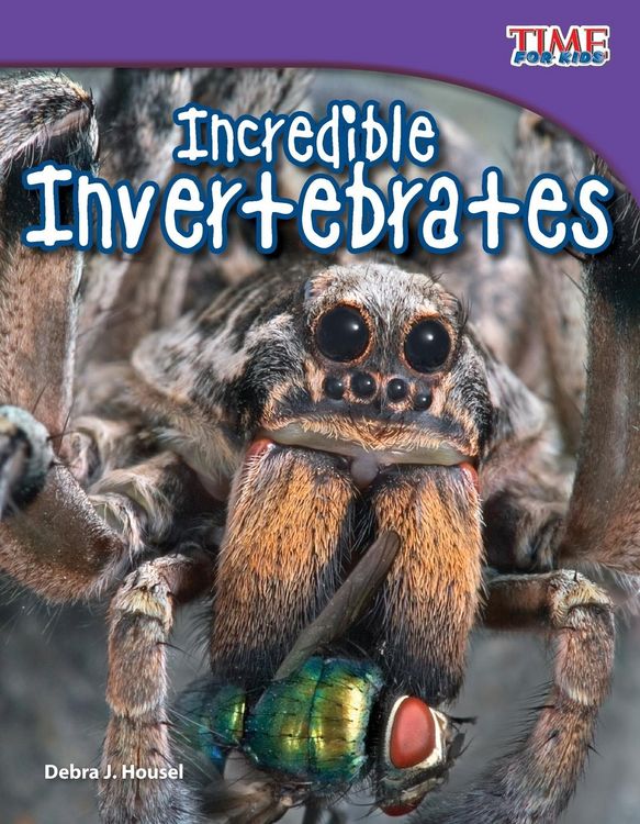 Produktbild: Incredible Invertebrates