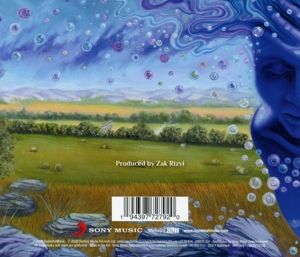 Produktbild: The Absence Of Presence