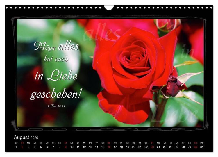 Produktbild: Monat f&uuml;r Monat ein Bibelvers (Wandkalender 2026 DIN A3 quer), CALVENDO Monatskalender