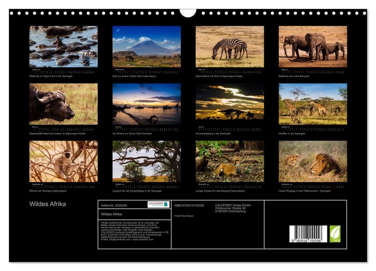 Produktbild: Wildes Afrika (Wandkalender 2026 DIN A3 quer), CALVENDO Monatskalender