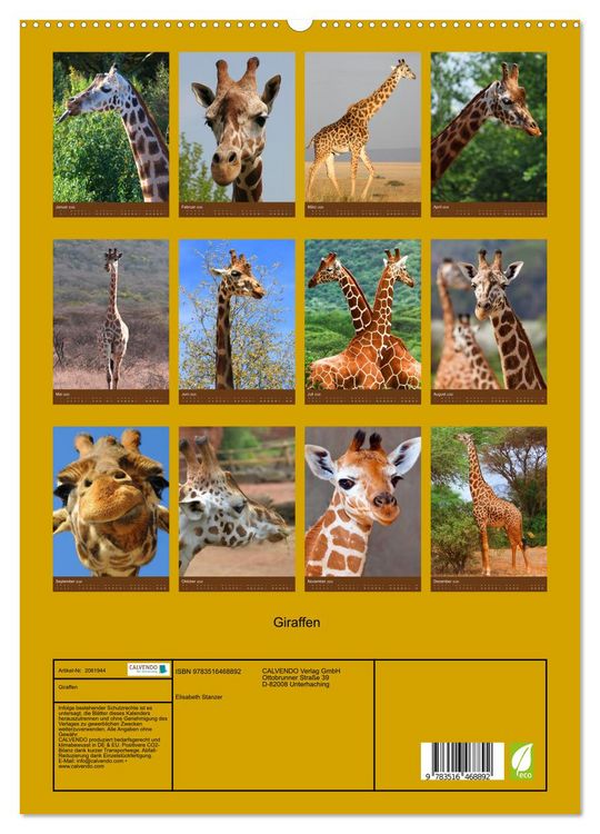 Produktbild: Giraffen (hochwertiger Premium Wandkalender 2026 DIN A2 hoch), Kunstdruck in Hochglanz