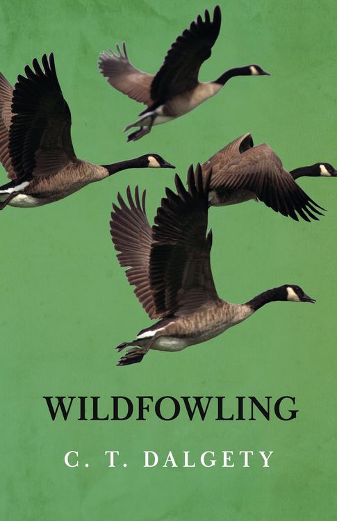 Produktbild: Wildfowling