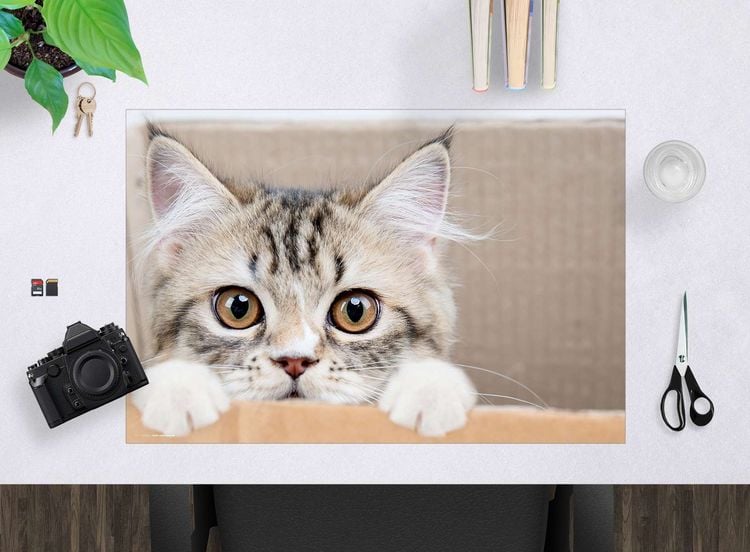 Produktbild: Cover-your-desk Schreibtischunterlage f&uuml;r Kinder und Erwachsene Maine Coon K&auml;tzchen, aus hochwertigem Vinyl , 60 x 40 cm