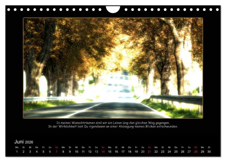 Produktbild: Freundschaft (Wandkalender 2026 DIN A4 quer), CALVENDO Monatskalender