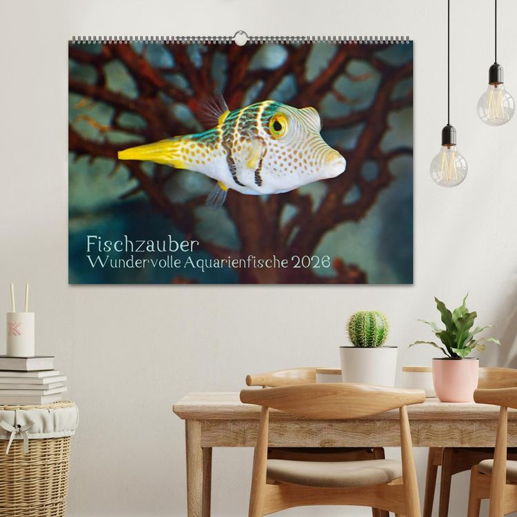 Produktbild: Fischzauber - Wundervolle Aquarienfische (Wandkalender 2026 DIN A2 quer), CALVENDO Monatskalender