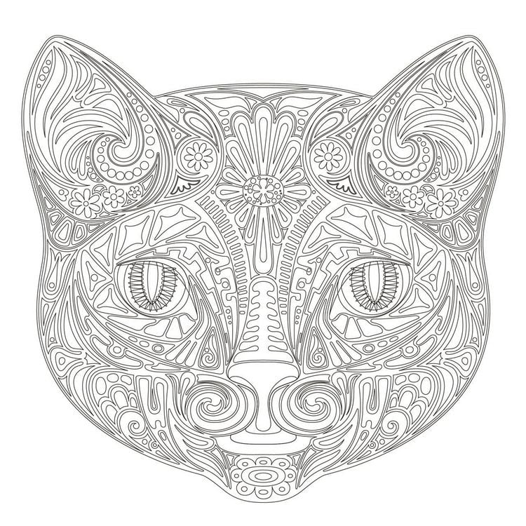Produktbild: Achtsam & Kreativ. Katzen