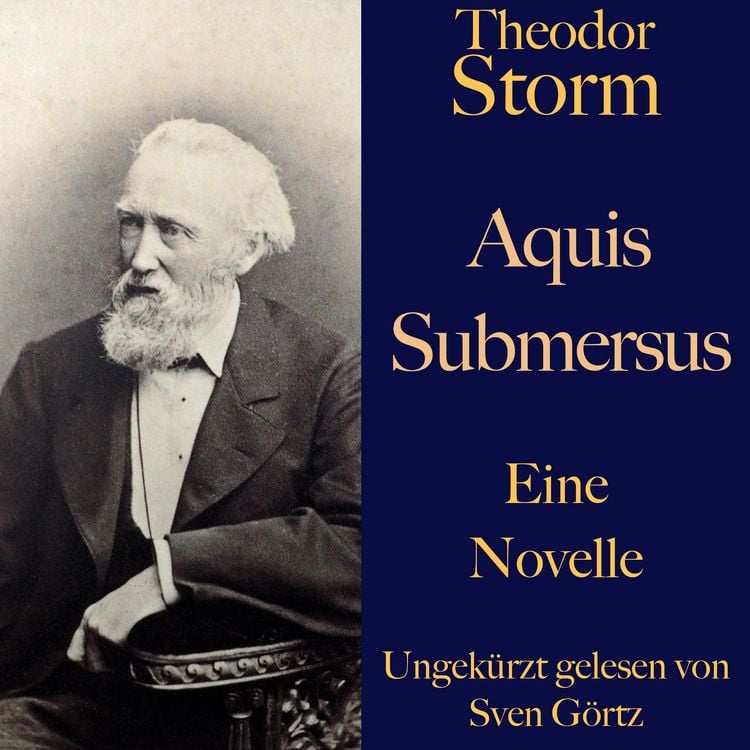 Produktbild: Theodor Storm: Aquis submersus