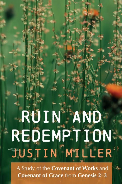 Produktbild: Ruin and Redemption