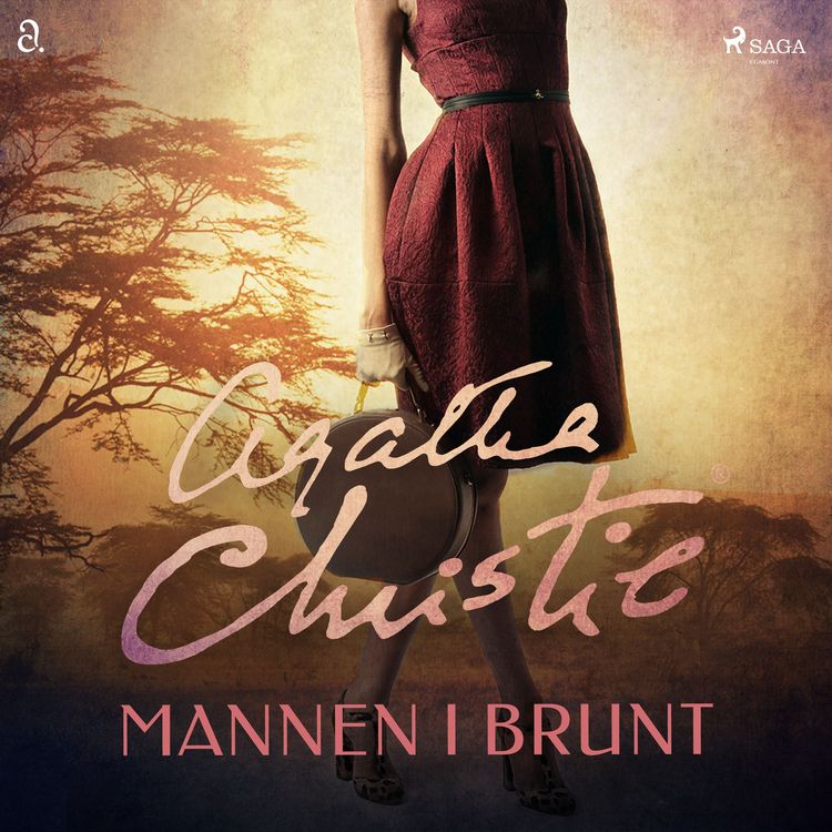 Produktbild: Mannen i brunt