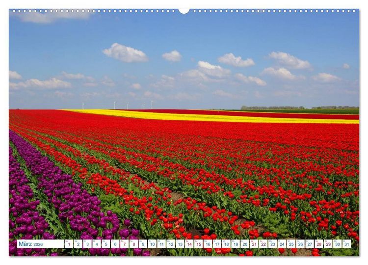 Produktbild: Magdeburg und Umgebung 2026 (Wandkalender 2026 DIN A2 quer), CALVENDO Monatskalender